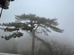 -妙峰山风景名胜区