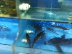 -重百超市(鲁能星城店)