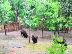 -清迈夜间动物园