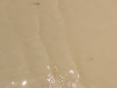 -碧海金沙
