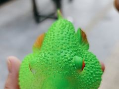 -永安鱼庄·镇江菜(东吴路店)