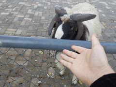 -长白岛森林公园