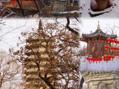 -高尔山公园