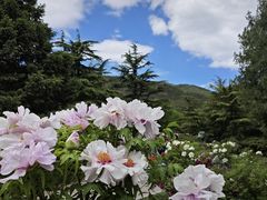 -国家植物园
