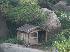 -罗红摄影艺术馆