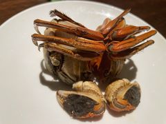 大闸蟹-扬州狮子楼·非遗淮扬菜(总店)
