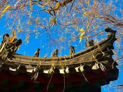 -长春市南湖公园