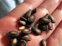 -刘艳明炒货(小心桥店)