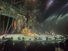 -广州长隆国际大马戏
