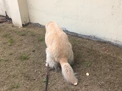 -觅福里•熟成和牛餐厅