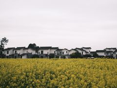 -桤木河湿地公园