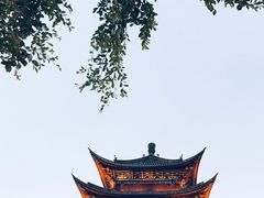 -唐咖精品咖啡(大理古城手冲店)