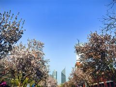 -天津五大道文化旅游区