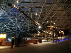 -世界恐龙谷景区