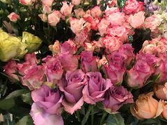-BoBloom花店(晶耀前滩店)