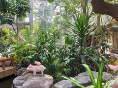 -北京植物园-展览温室