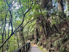 -怀托摩萤火虫洞