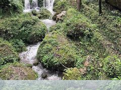 -青城山