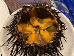海胆-铭门盛宴艺术海鲜姿造(珠江新城店)