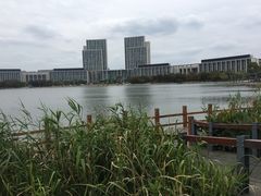 -尚贤河湿地