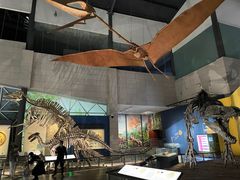 -湖南省地质博物馆