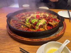 -老板恋上鱼(恒隆广场店)