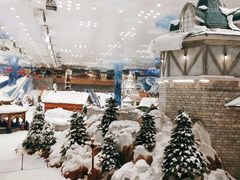 -长沙湘江冰雪世界