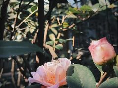 -大妙火锅·非物质文化遗产(东湖公园店)