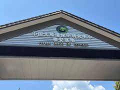 -中国大熊猫保护研究中心雅安碧峰峡基地