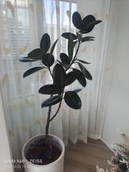 -HEYAN荷妍专业脱毛连锁机构