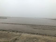 -小洋口旅游度假区