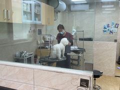 -美联众合动物医院·24h京西诊疗中心