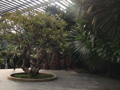 -龙达温泉生态城