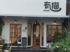 -有猫主题·治愈系猫咖(曾厝垵店)