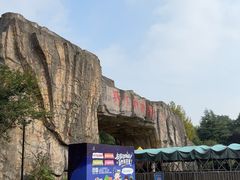 -合肥野生动物园