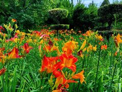 -长春公园(普阳街道)