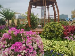 -海心沙亚运公园