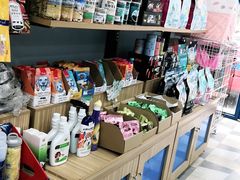 -总动员动物医院(宝丰院店)