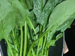 -捞王锅物料理(金华义乌之心店)