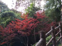 -百林公园-两江幸福广场