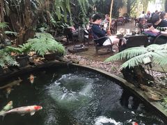 -Fern Forest Cafe