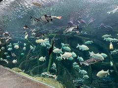 -哈尔滨波塞冬海底世界