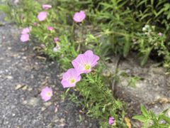 -百翠山居.家飨餐厅