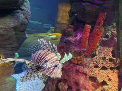 -沈阳海洋探索中心