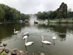 -北京野生动物园