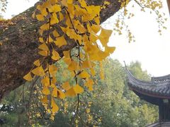 -无锡惠山寺