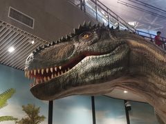 -湖南省地质博物馆