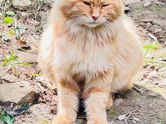 -北京西山国家森林公园