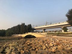 -宝安西湾红树林湿地公园