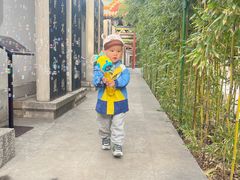 -碑林公园